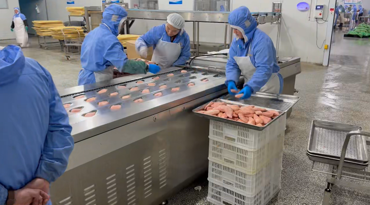 宠物鸡胸肉拉伸膜真空包装机